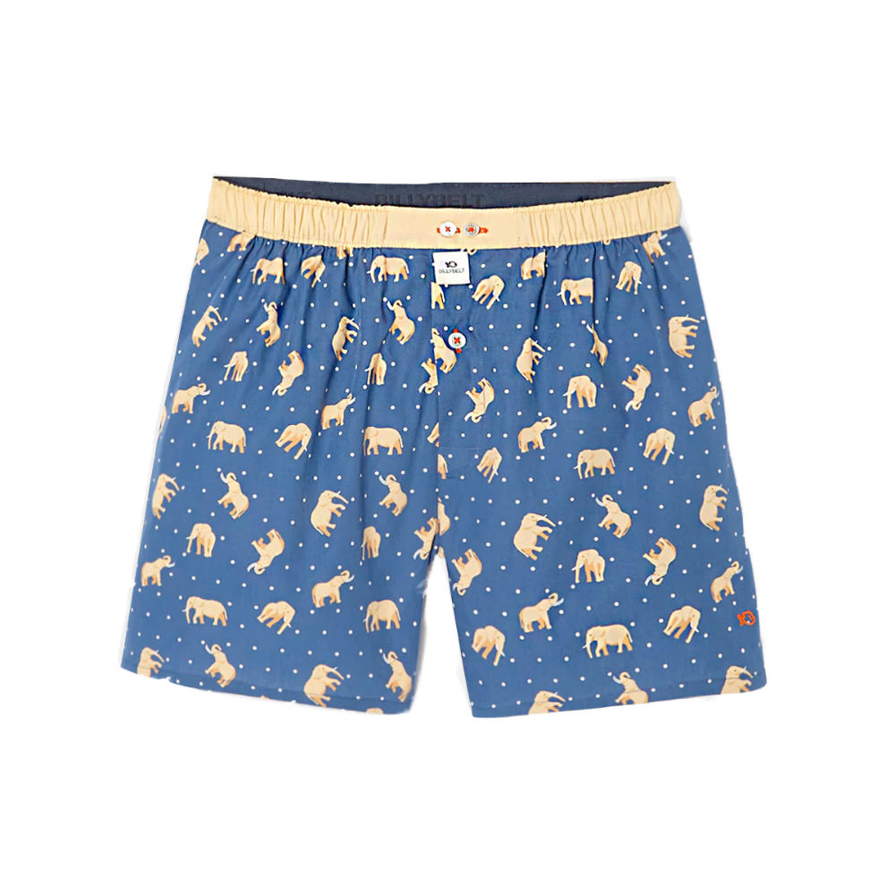 BillyBelt - Caleçon en coton bio - Elephant Dream - Taille S