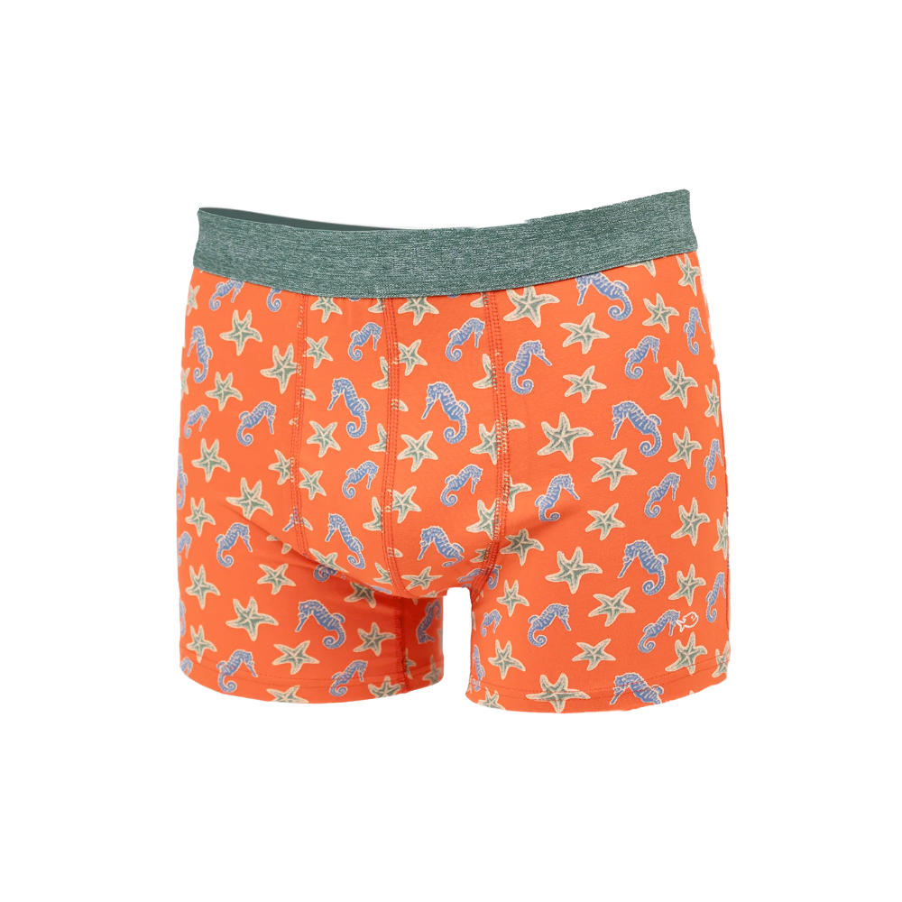 Billybelt - Boxer - Seahorse - L